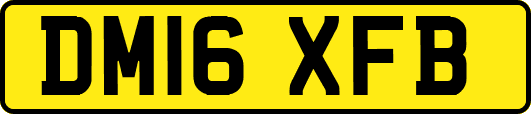 DM16XFB