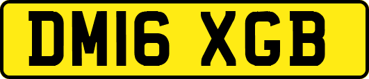 DM16XGB