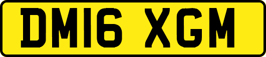 DM16XGM