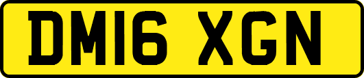 DM16XGN