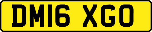 DM16XGO