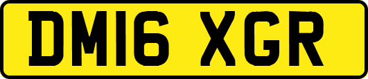 DM16XGR
