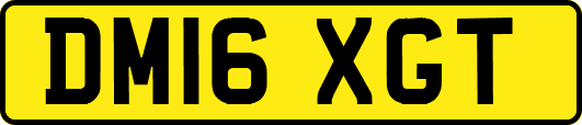 DM16XGT