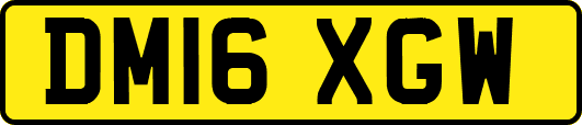 DM16XGW