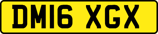 DM16XGX