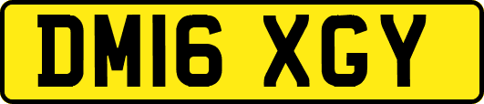 DM16XGY