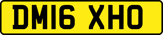 DM16XHO