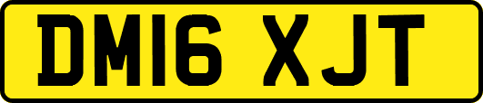 DM16XJT