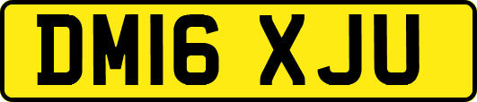 DM16XJU