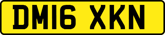 DM16XKN