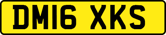 DM16XKS