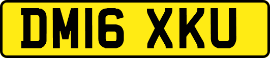 DM16XKU