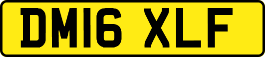 DM16XLF