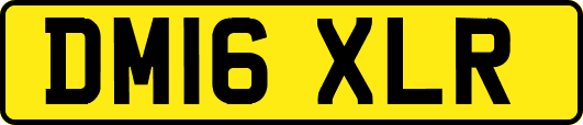 DM16XLR