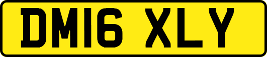 DM16XLY