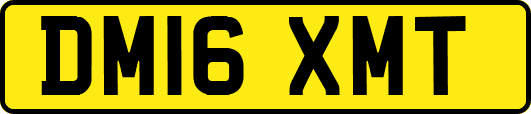 DM16XMT
