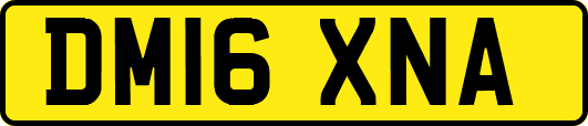 DM16XNA