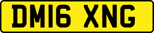 DM16XNG