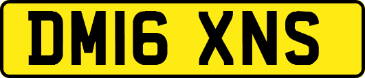 DM16XNS