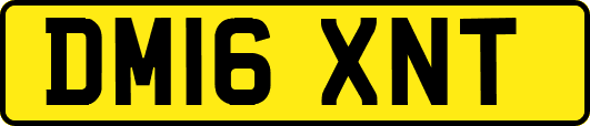 DM16XNT