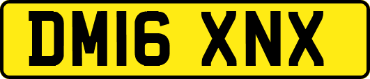 DM16XNX