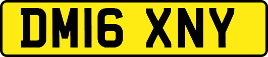 DM16XNY