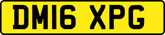 DM16XPG