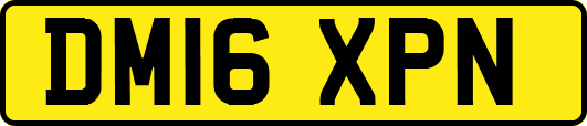 DM16XPN