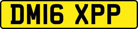 DM16XPP