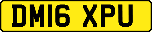 DM16XPU