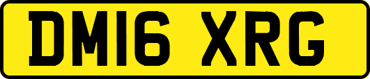 DM16XRG