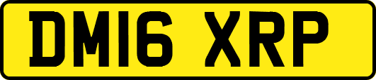 DM16XRP