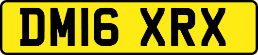 DM16XRX