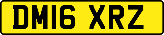 DM16XRZ