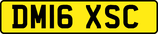DM16XSC