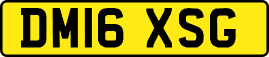 DM16XSG