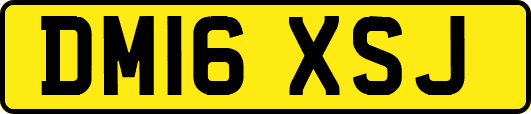 DM16XSJ