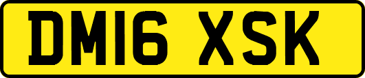 DM16XSK
