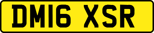 DM16XSR