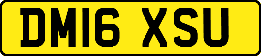 DM16XSU