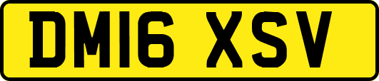 DM16XSV