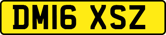 DM16XSZ