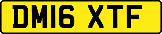 DM16XTF
