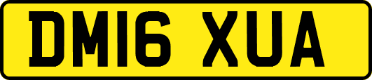 DM16XUA
