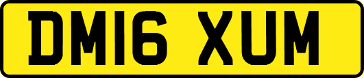 DM16XUM