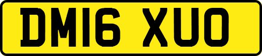 DM16XUO