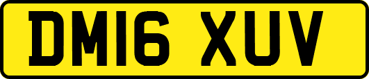 DM16XUV