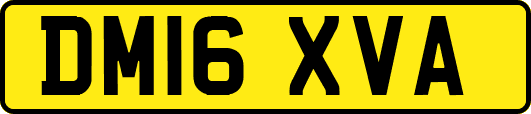 DM16XVA