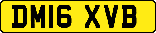 DM16XVB