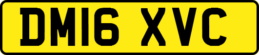 DM16XVC